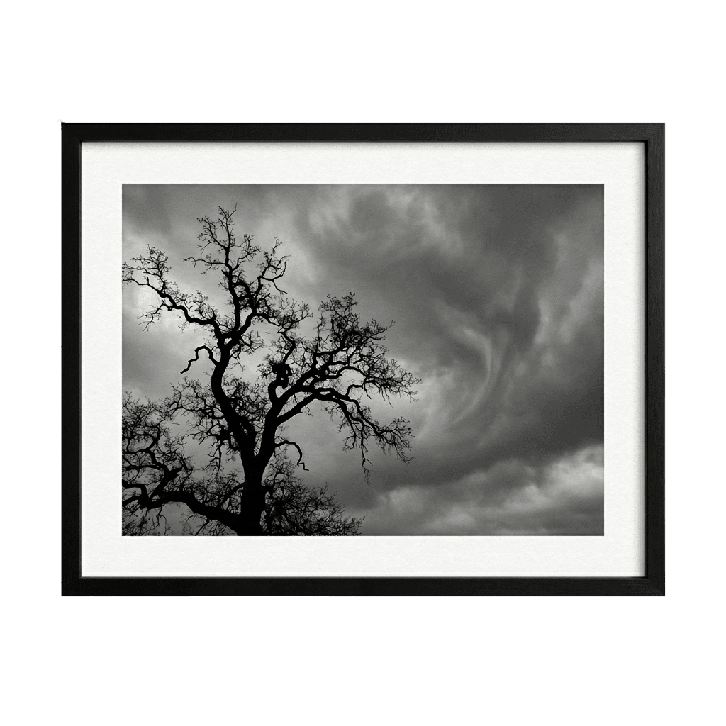 Whispers Before the Storm