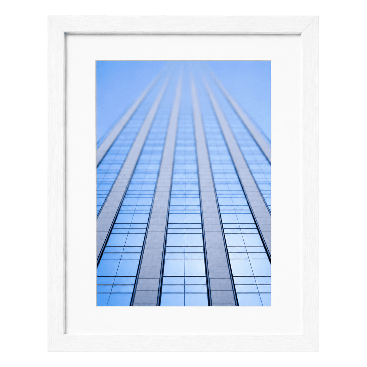 Glass & Steel